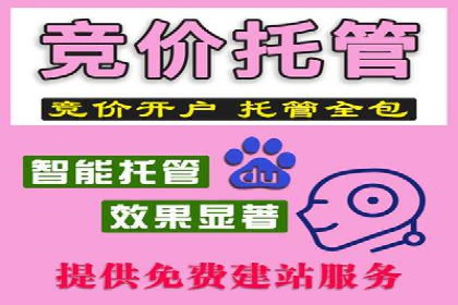 行业领先的SEM投放效果案例解析